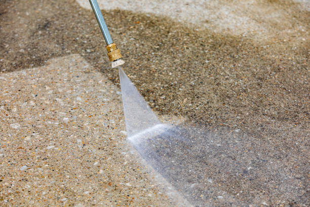 Animal Enclosure Cleaning in Russiaville, IN