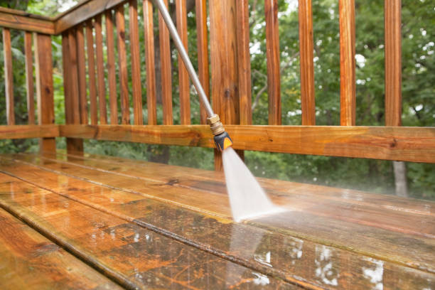 Best Roof Washing  in Russiaville, IN